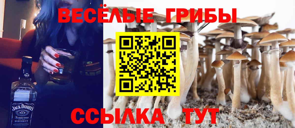 Псилоцибиновые грибы Magic Shrooms  Вход с VPN  Искитим 